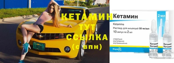 гидра Горняк