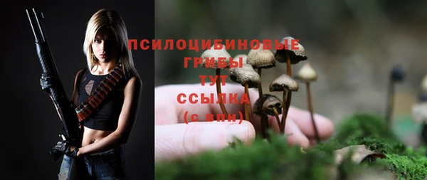гидра Горняк