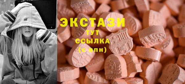 гидра Горняк