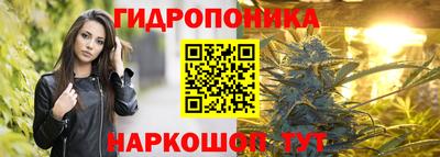 крисы Апрелевка