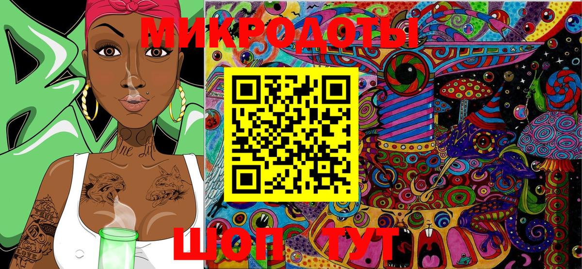 Псилоцибиновые грибы Cubensis Можга