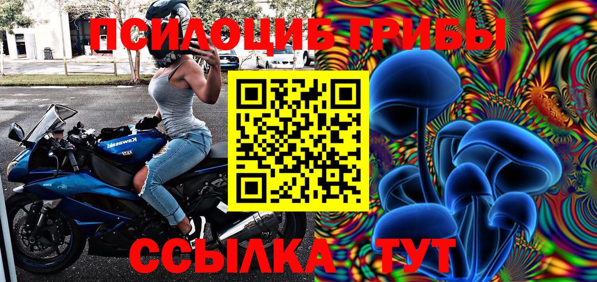 Галлюциногенные грибы Psilocybine cubensis  Можга  Галлюциногенные грибы MAGIC MUSHROOMS 