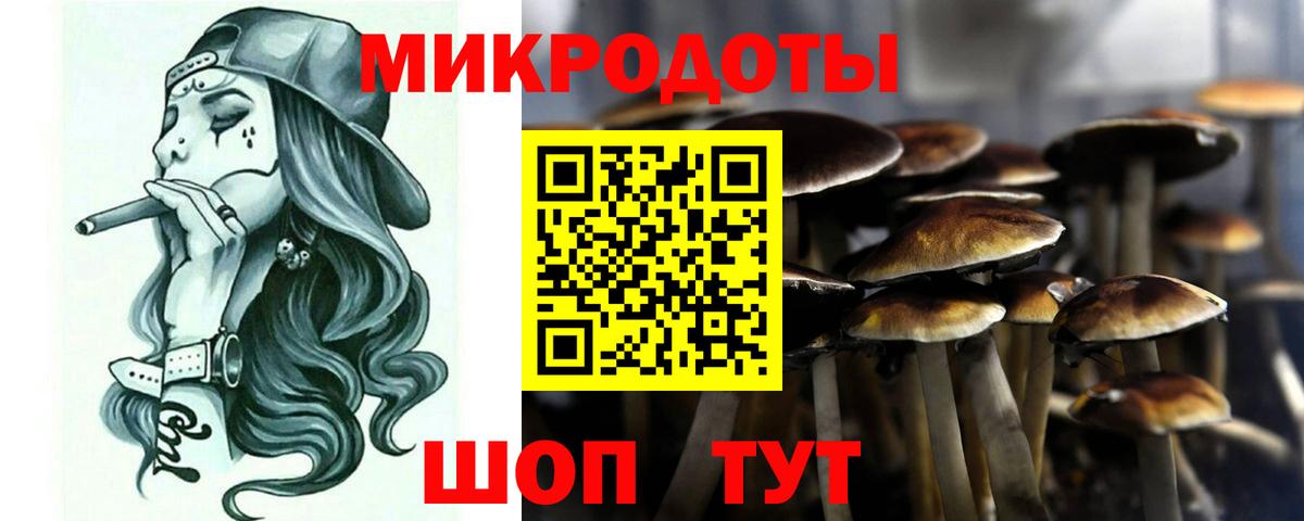 Псилоцибиновые грибы Psilocybe  Галлюциногенные грибы Cubensis  хочу наркоту  Можга  Вход с VPN 